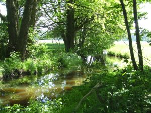 Natur pur