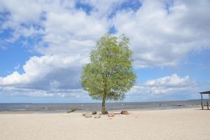 Strand am Haff